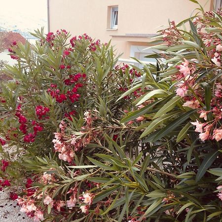 House Agradable Apartment Seget Vranjica Ngoại thất bức ảnh