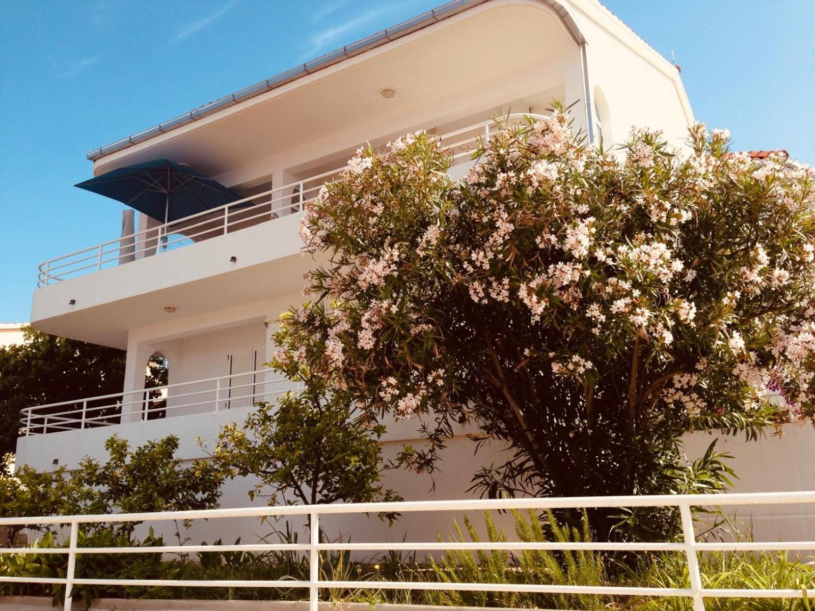 House Agradable Apartment Seget Vranjica Ngoại thất bức ảnh